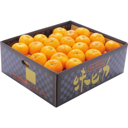 Japanese Ehime Ajipika Mikan 5kg Box