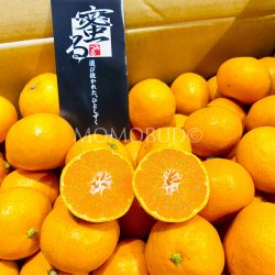 Japanese High Sweetness Mitsuru Mikan (Mandarin Orange)