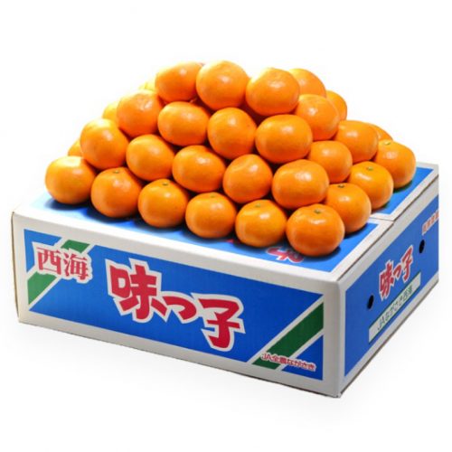 Japanese Saikai Ajikko Mikan 5kg box