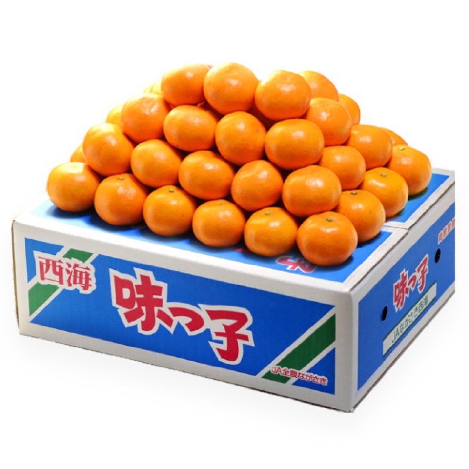 japanese-saikai-ajikko-mikan-mandarin-orange-momobud