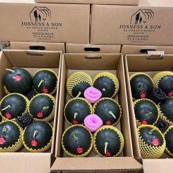 Josness & Son Black Pearl Watermelons