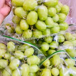 Jumbo Autumn Crisp® Green Seedless Grapes — MomoBud