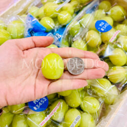 Jumbo Peru Valeriana Autumn Crisp® Green Seedless Grape (4J) size comparison