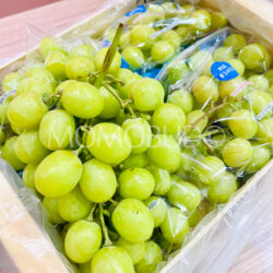 Jumbo Peru Valeriana Autumn Crisp® Green Seedless Grapes (4J)