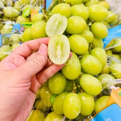 Peru Flavor Mountain Autumn Crisp Green Seedless Grapes 1 Peru Flavor Mountain Autumn Crisp Green Seedless Grapes 1