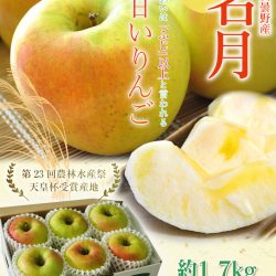 Sweet Jewelry Aomori Meigetsu Honey Apple