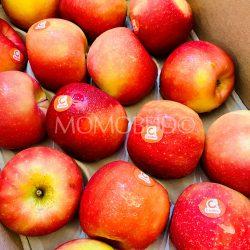 France Candine® Apples