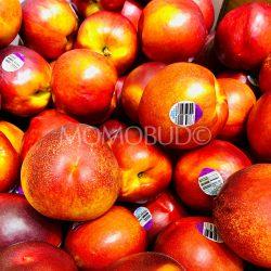 Lowana Zee Sweet© Honey Lite Yellow Nectarines