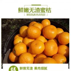 Premium Yongquan Mandarin Orange poster 2