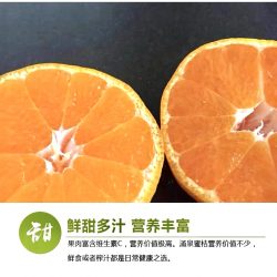 Premium Yongquan Mandarin Orange poster 3