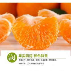 Premium Yongquan Mandarin Orange poster 4