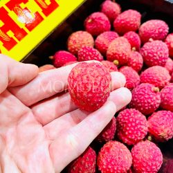 Australian Sun Lychee Salathiel (Lou Mai Chee) Lychee