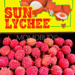 Australian Sun Lychee Salathiel (Lou Mai Chee) Lychee Box