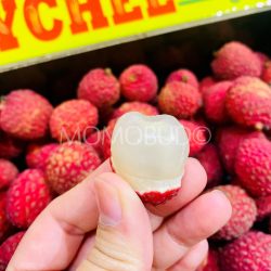 Australian Sun Lychee Salathiel (Lou Mai Chee) Lychee flesh