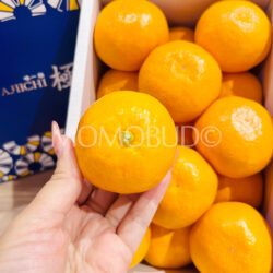 Japanese Ajiichi Premium Mikan (Mandarin Orange) Japanese Ajiichi Premium Mikan (Mandarin Orange)
