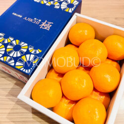 Japanese Ajiichi Premium Mikan (Mandarin Orange) Gift Box (1.2kg) 2 Japanese Ajiichi Premium Mikan (Mandarin Orange) Gift Box (1.2kg) 2
