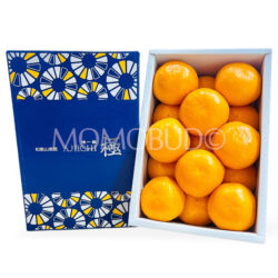 Japanese Ajiichi Premium Mikan (Mandarin Orange) Gift Box (1.2kg)