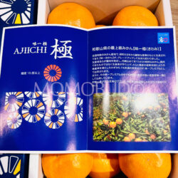 Japanese Ajiichi Premium Mikan (Mandarin Orange) Gift Box (1.2kg) brochure Japanese Ajiichi Premium Mikan (Mandarin Orange) Gift Box (1.2kg) brochure