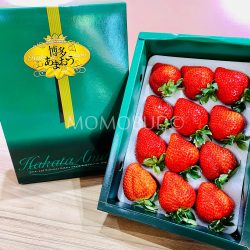 Japanese Fukuoka Hakata Amaou Strawberry Gift Box 450g