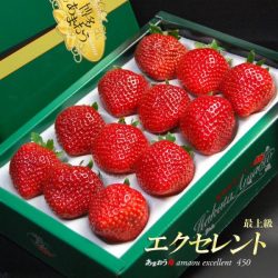 Japanese Fukuoka Hakata Amaou Strawberry Gift Box 450g