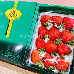 Japanese Fukuoka Hakata Amaou Strawberry Gift Box 450g