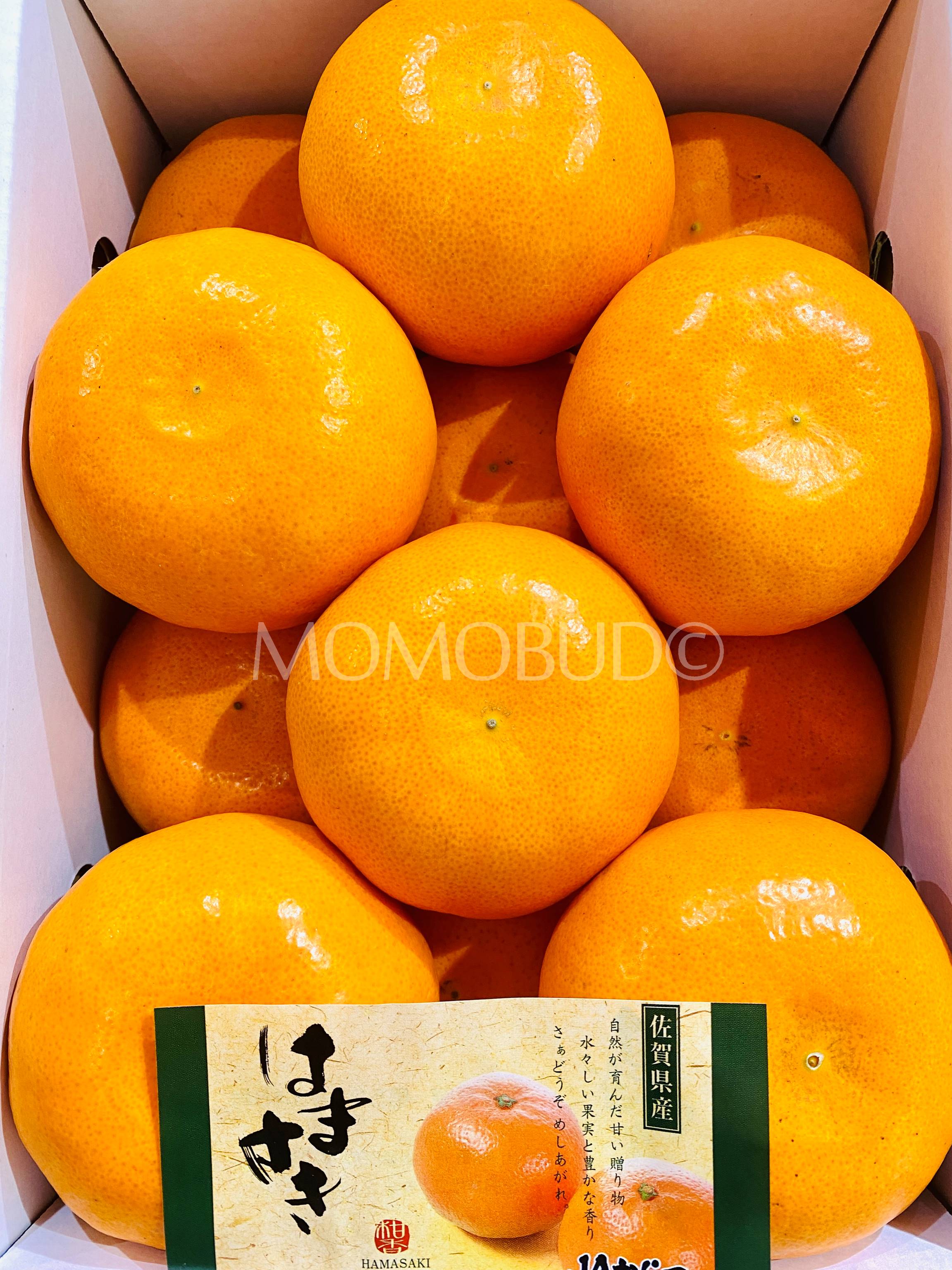 Japanese Hamasaki Mikan (Mandarin Orange) Gift Box (2.5kg) — MomoBud