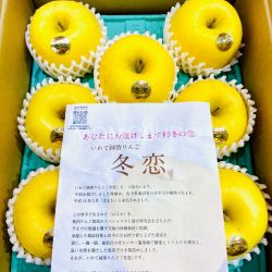 Japanese Iwate Junjou Fuyukoi Apple brochure Japanese Iwate Junjou Fuyukoi Apple brochure