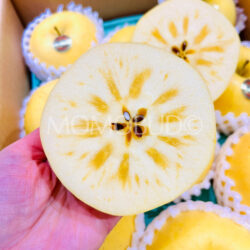 Japanese Iwate Junjou Fuyukoi Apple cross section 1 Japanese Iwate Junjou Fuyukoi Apple cross section 1
