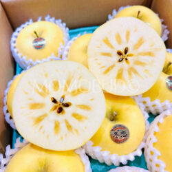 Japanese Iwate Junjou Fuyukoi Apple cross section Japanese Iwate Junjou Fuyukoi Apple cross section