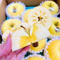 Japanese Iwate Junjou Fuyukoi Apple half section Japanese Iwate Junjou Fuyukoi Apple half section