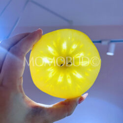 Japanese Iwate Junjou Fuyukoi Apple honey core against ceiling light 1 Japanese Iwate Junjou Fuyukoi Apple honey core against ceiling light 1