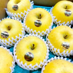 Japanese Iwate Junjou Fuyukoi Apples Japanese Iwate Junjou Fuyukoi Apples