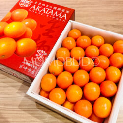 Japanese Miyazaki Akatama Kinkan (Kumquat) Gift Box (1kg, 3L) 1 Japanese Miyazaki Akatama Kinkan (Kumquat) Gift Box (1kg, 3L) 1
