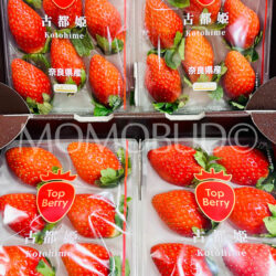 Japanese Nara Top Berry Kotohime Ichigo (Strawberry) 250gx2 trays