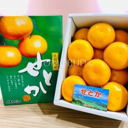 Japanese Setoka Mikan (Mandarin Orange) Gift Box (2.5kg) 1