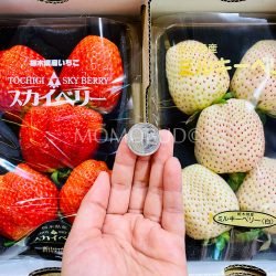 Japanese Tochigi Shinyama Farms Skyberry & Milky Berry Strawberry size comparison