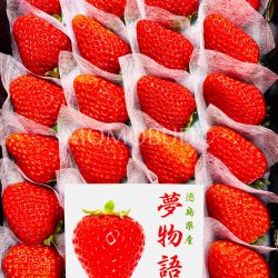 Japanese Yumemonogatari Ichigo (Strawberry) 1 Japanese Yumemonogatari Ichigo (Strawberry) 1