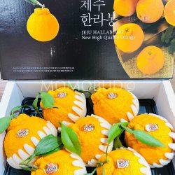 Jeju Gold Hallabong Orange Gift Box (3kg) 1