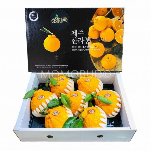 Jeju Gold Hallabong Orange Gift Box (3kg)