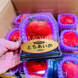 Jumbo Japanese Tochiaika Ichigo (Strawberry, 60g punnet) Jumbo Japanese Tochiaika Ichigo (Strawberry, 60g punnet)