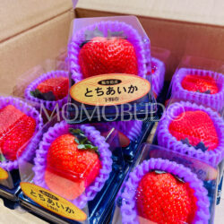 Jumbo Japanese Tochiaika Ichigo (Strawberry, 60g punnet) Jumbo Japanese Tochiaika Ichigo (Strawberry, 60g punnet)