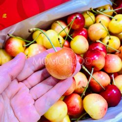 NZ Central Otago Rainier Cherry