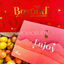 NZ Central Otago Rainier Cherry brochure front