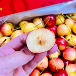 NZ Central Otago Rainier Cherry cross section