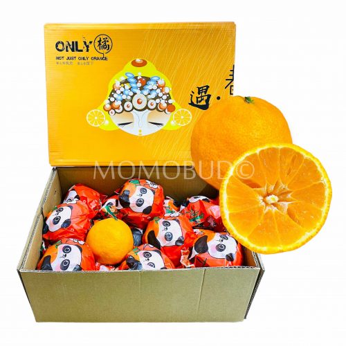 China Chun Jian Mandarin Orange Gift Box (3kg)