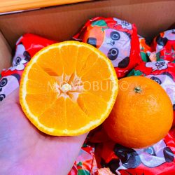 China Chun Jian Mandarin Orange cross section