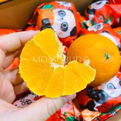 China Chun Jian Mandarin Orange cross section
