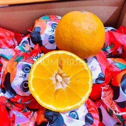 China Chun Jian Mandarin Orange cross section