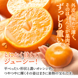 Hamasaki Mikan (Mandarin Orange) poster 2