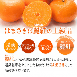 Hamasaki Mikan (Mandarin Orange) poster 4